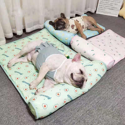 This Non-Slip Silk Pet Cooling Mat is the perfect way to keep your pet cool and comfortable. It's made with a non-slip silk material that's durable and safe for your pet. Plus the cooling mat technology helps regulate your pet's temperature for ultimate comfort.