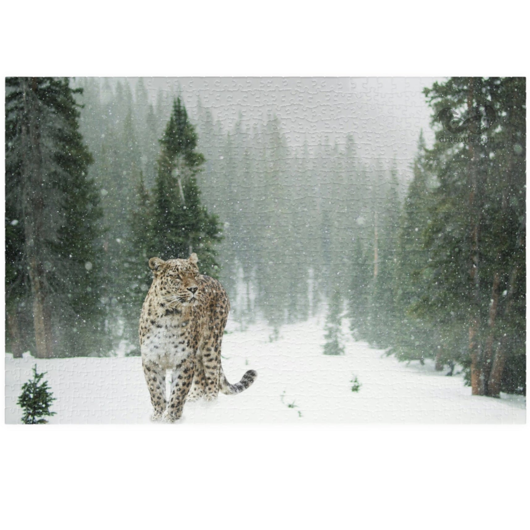 Take on the challenge of this Leopard In A Snow Storm Puzzle! With 110 to 1014 pieces, this puzzle will put your skills to the test as you piece together a stunning image of a leopard in its natural habitat. 