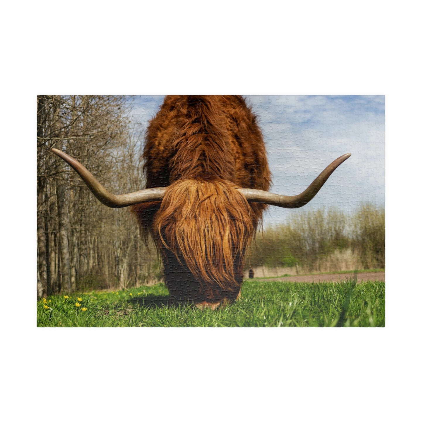 Highland Longhorn Cow Puzzle - 110 to 1014 Pieces