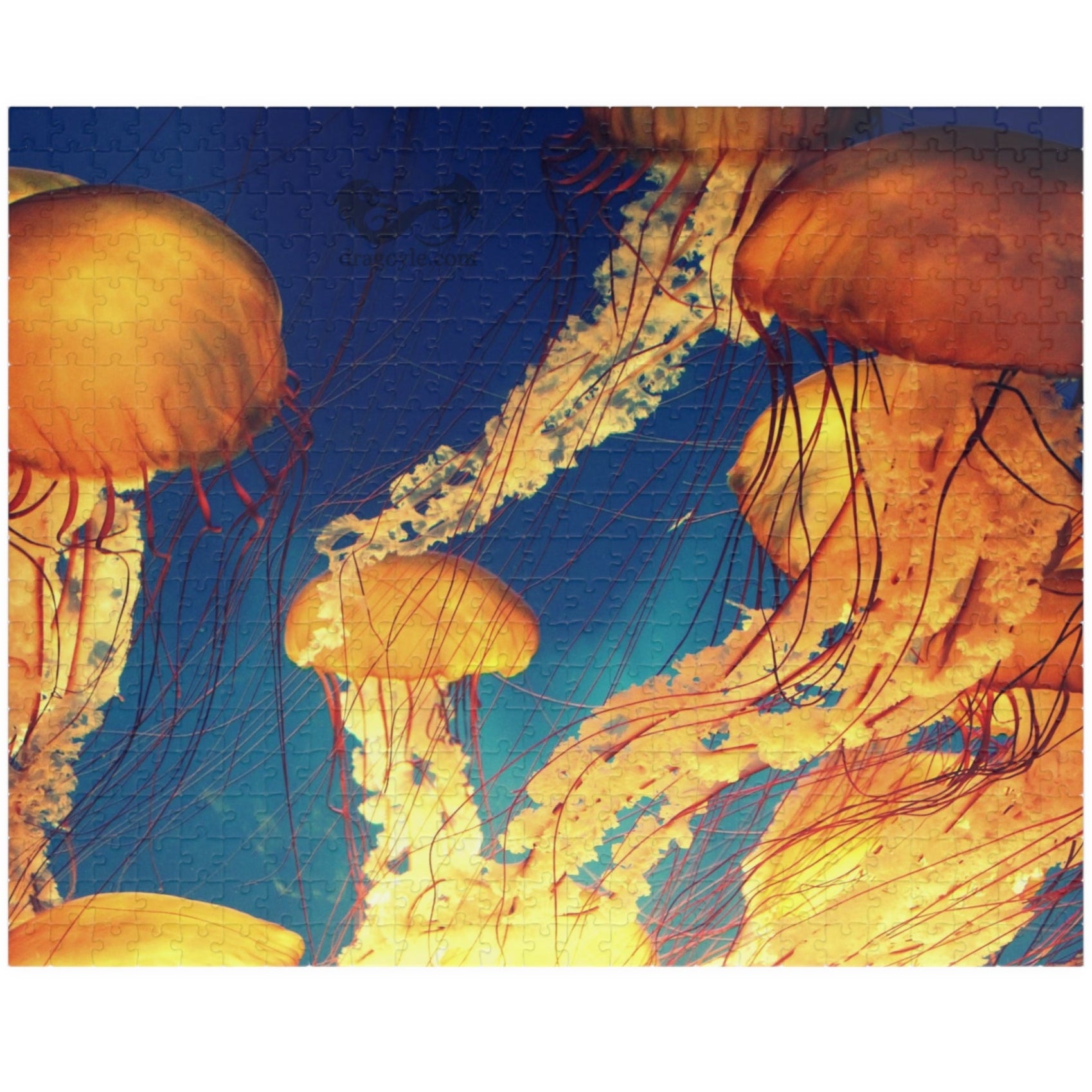 Indulge in the essence of the ocean with our Orange Jellyfish Puzzle. Crafted with 110 to 1014 pieces, this puzzle captures the striking hues and intricate details of a jellyfish. Dive into a world of relaxation and challenge your mind simultaneously.