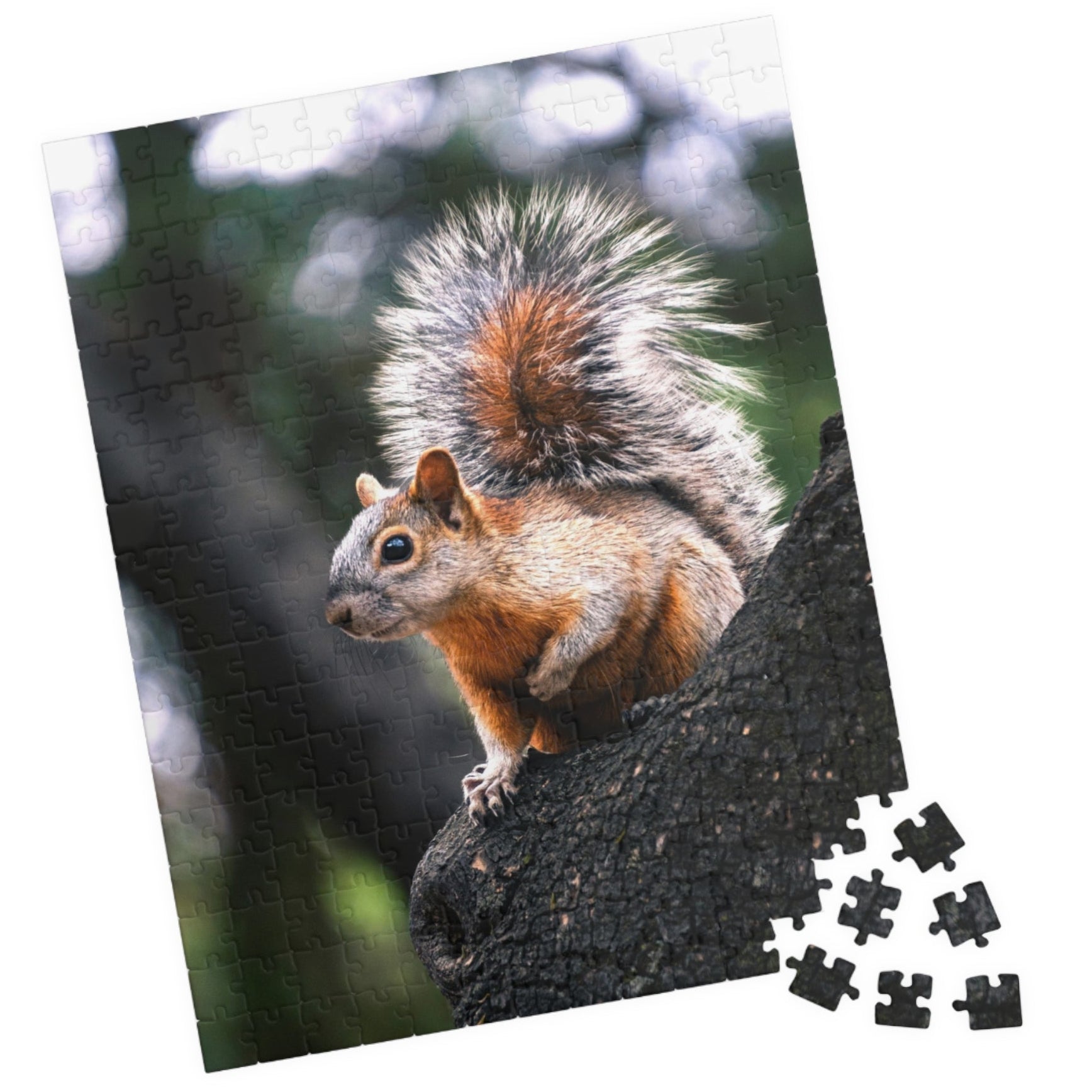 Get lost in nature with this playful Squirrel in The Park puzzle. With 110-1014 pieces, it's the perfect challenge for a lazy afternoon. Piece together this cute critter and enhance your puzzle skills.