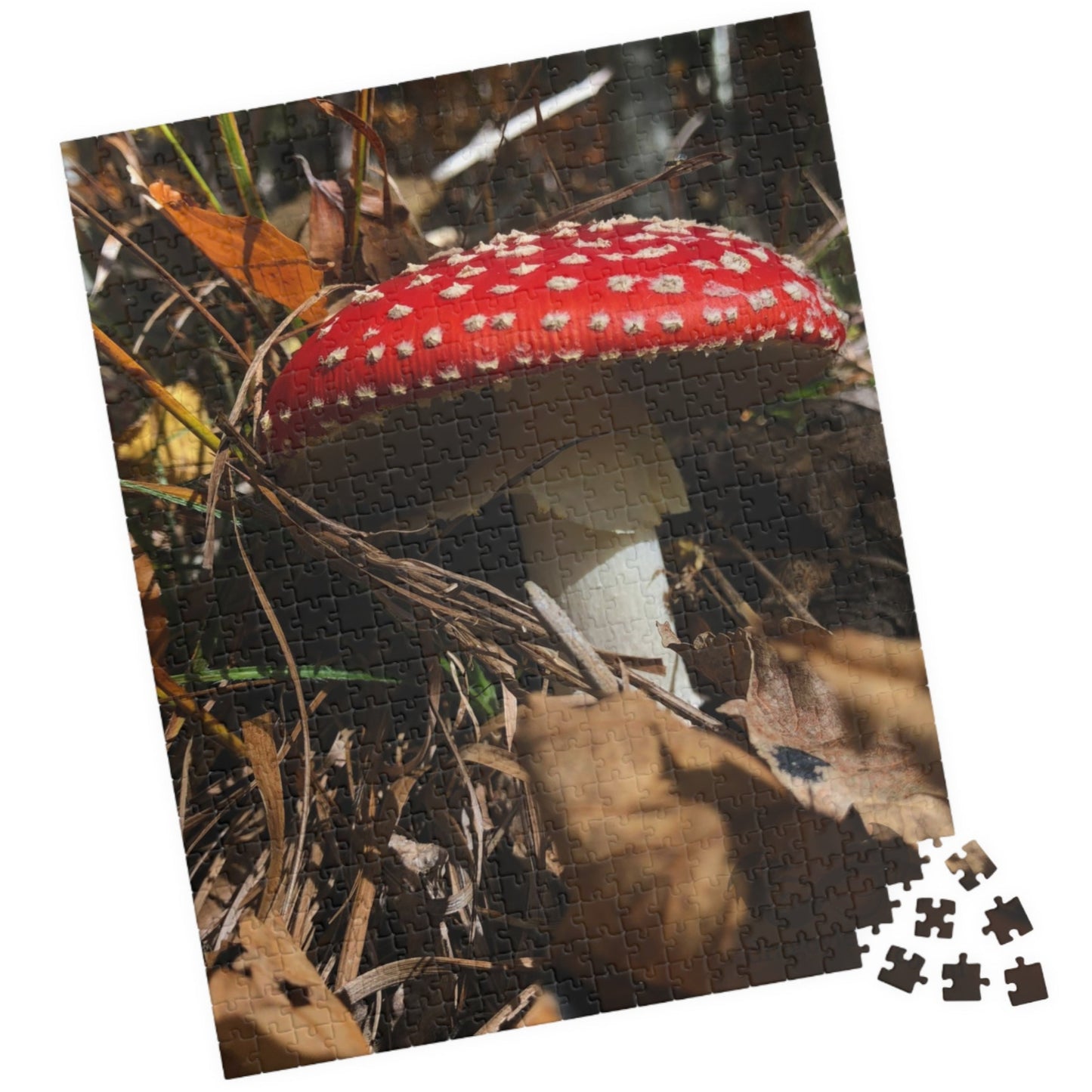 This Single Red Mushrooms Puzzle features a captivating image of vibrant mushrooms, ranging from 110 to 1014 pieces. With high-quality materials and intricate design, it offers a challenging yet satisfying puzzle-solving experience. 