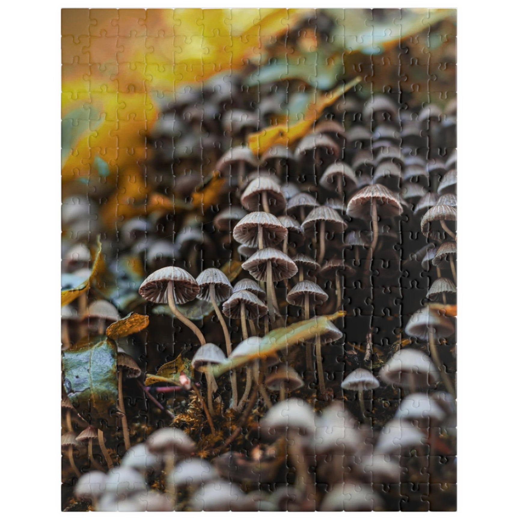 Unravel the beauty of nature with our Multiple Wild Mushrooms Puzzle. With a range of pieces from 110 to 1014, this puzzle will challenge and captivate puzzle enthusiasts. Featuring a variety of wild mushrooms, let your mind escape to the whimsical world of nature while creating a stunning masterpiece.