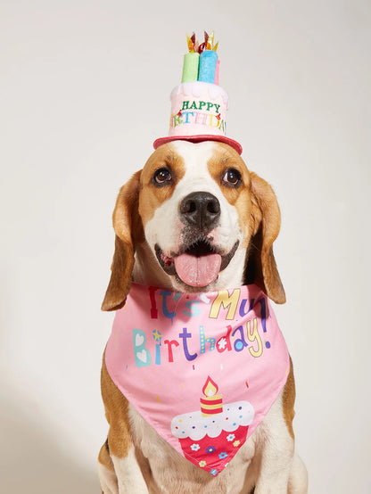 Happy Birthday Pet Party Costume