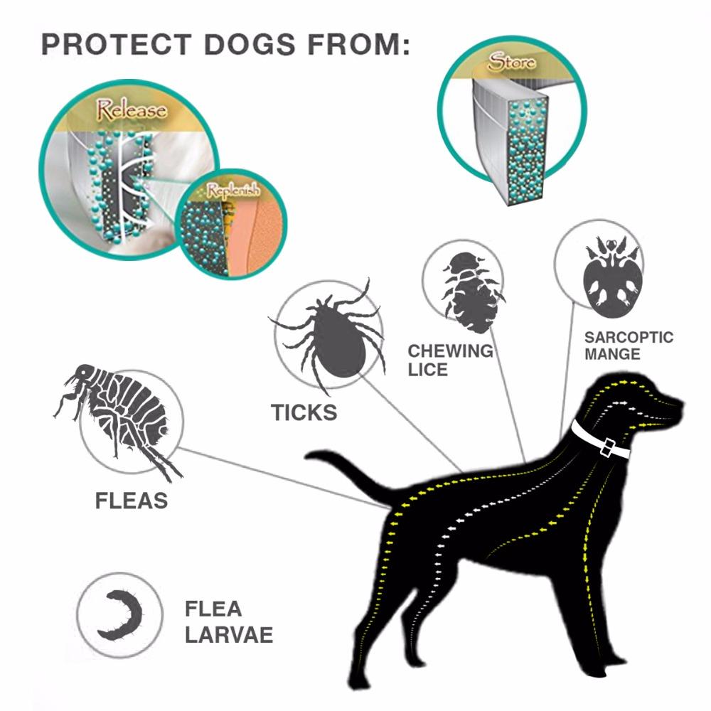 Protect your pet effectively with this Adjustable Flea and Tick Collar, designed for both cats and dogs. Its customizable fit ensures comfort while providing continuous, reliable protection against fleas and ticks. 