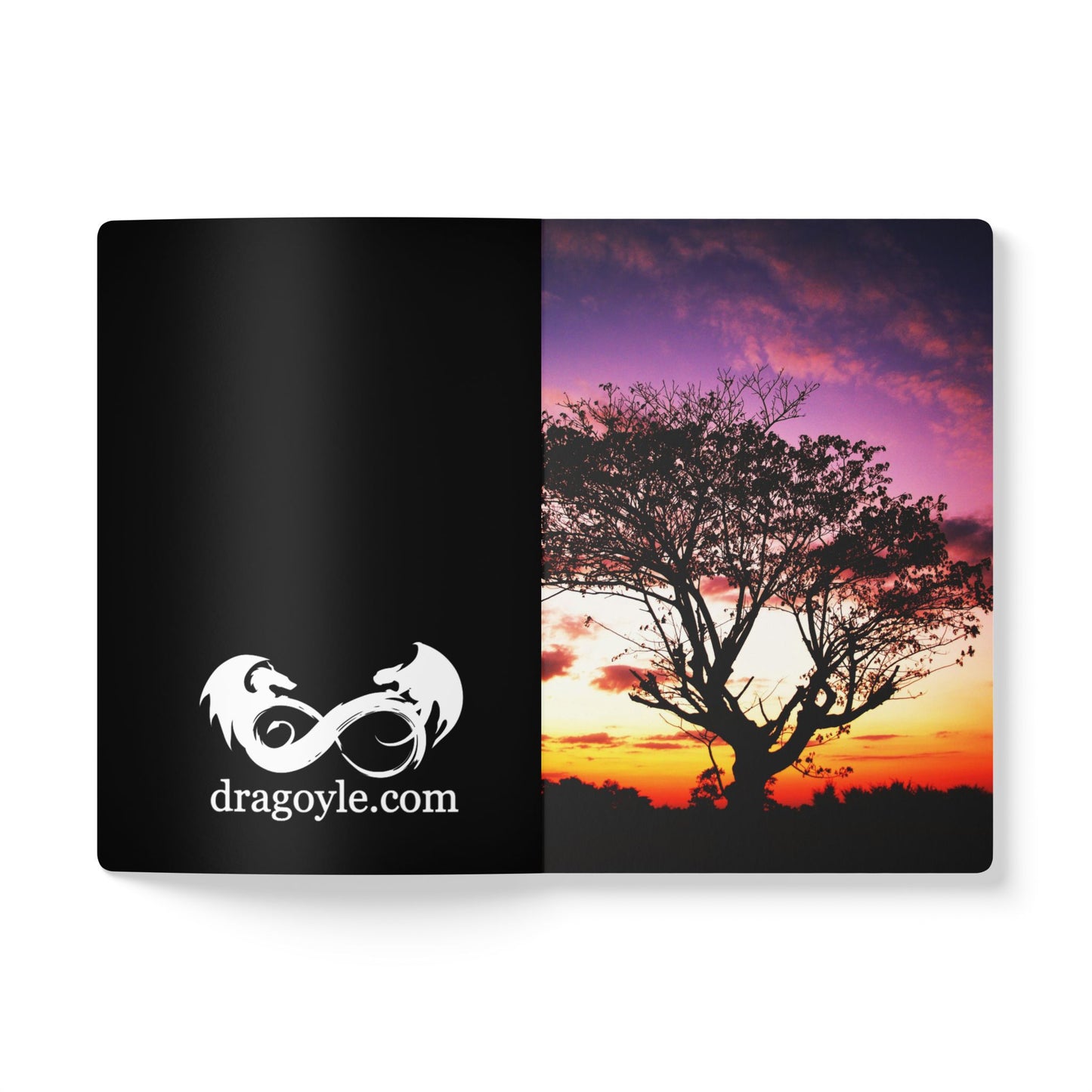 Product with 'dragoyle.com' logo on black background and tree silhouette at sunset on right half.