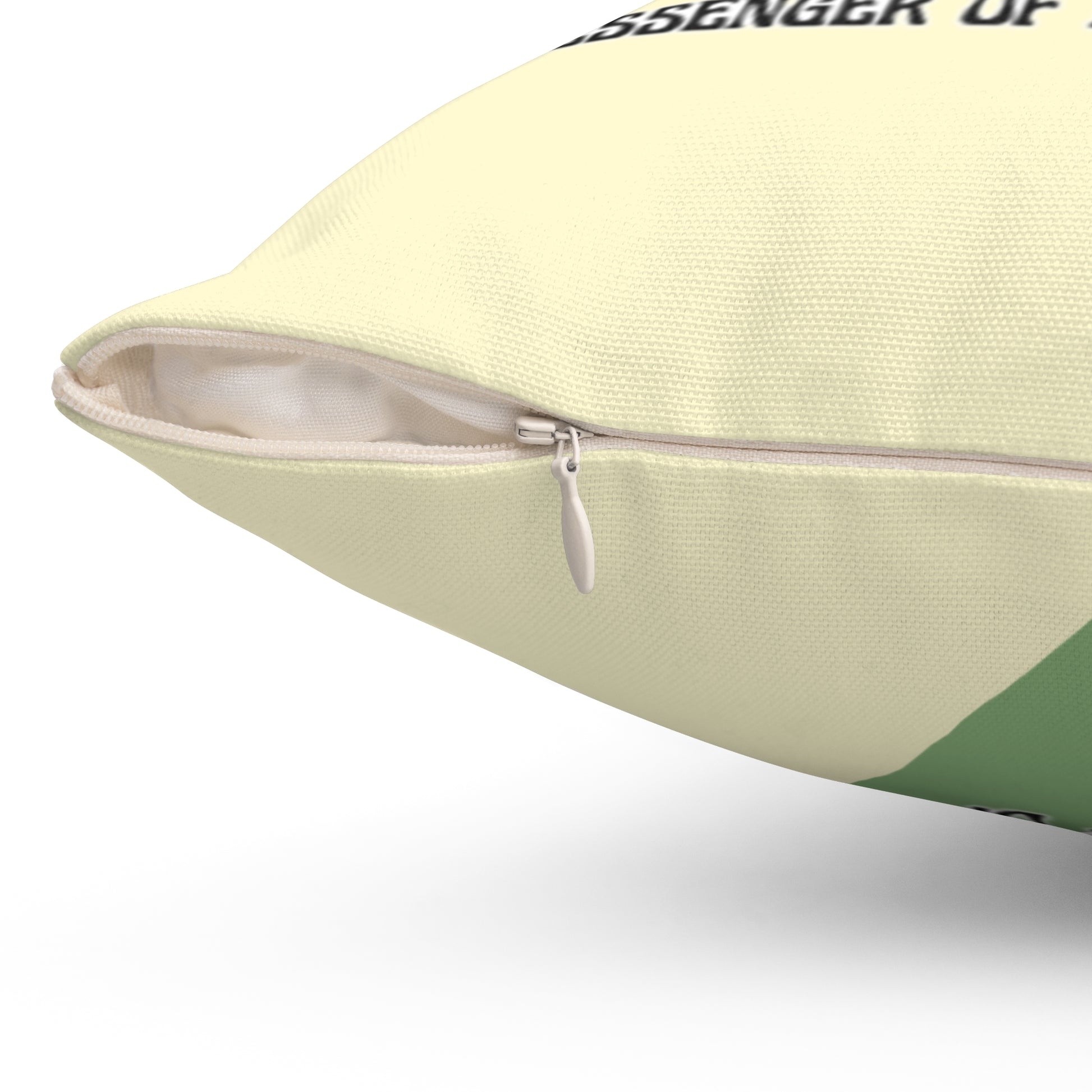 Close-up of a light-colored pillow with a zipper on a white background
