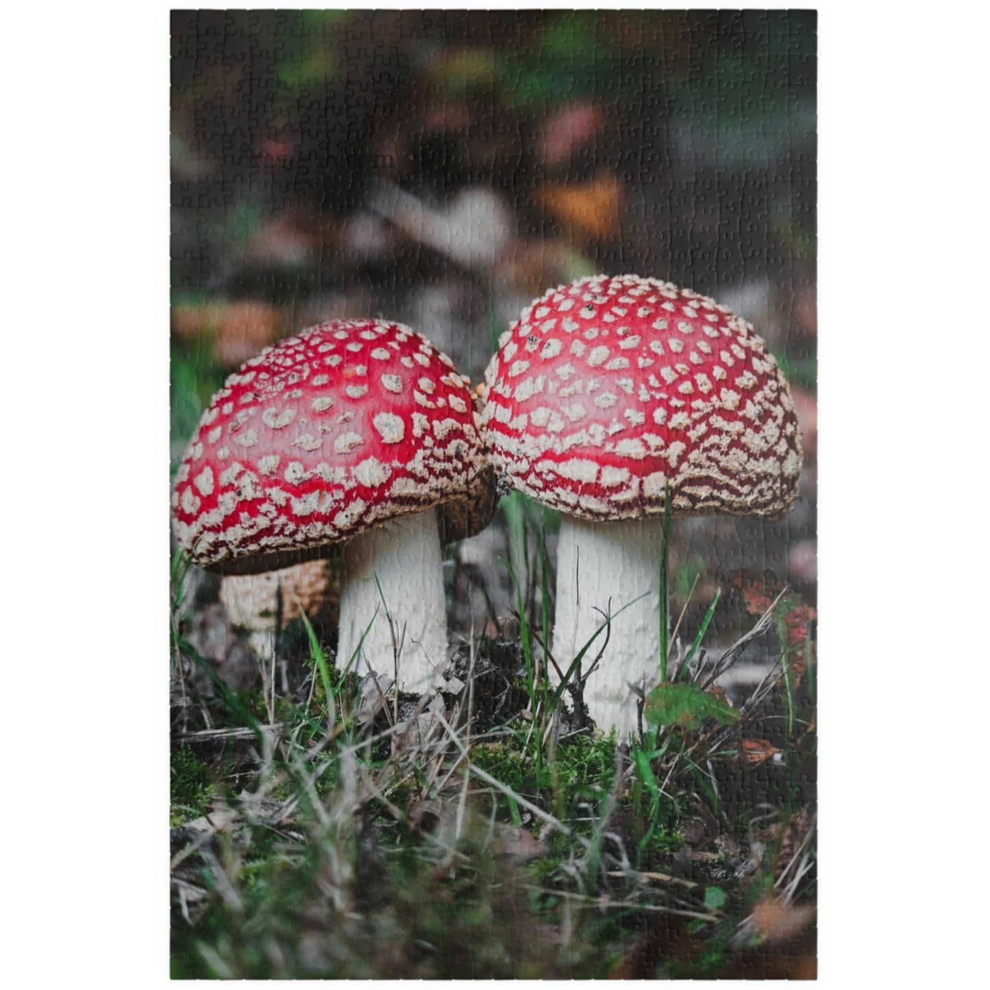 Solve a fun challenge with the Sister Red Mushrooms Puzzle! Available in 110 to 1014 pieces, this puzzle features vibrant colors and a whimsical design. Perfect for all ages, it offers a relaxing and rewarding activity for the whole family to enjoy together.