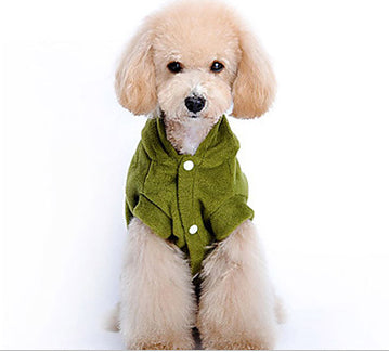 Dinosaur Shaped Halloween Costume for Dogs
