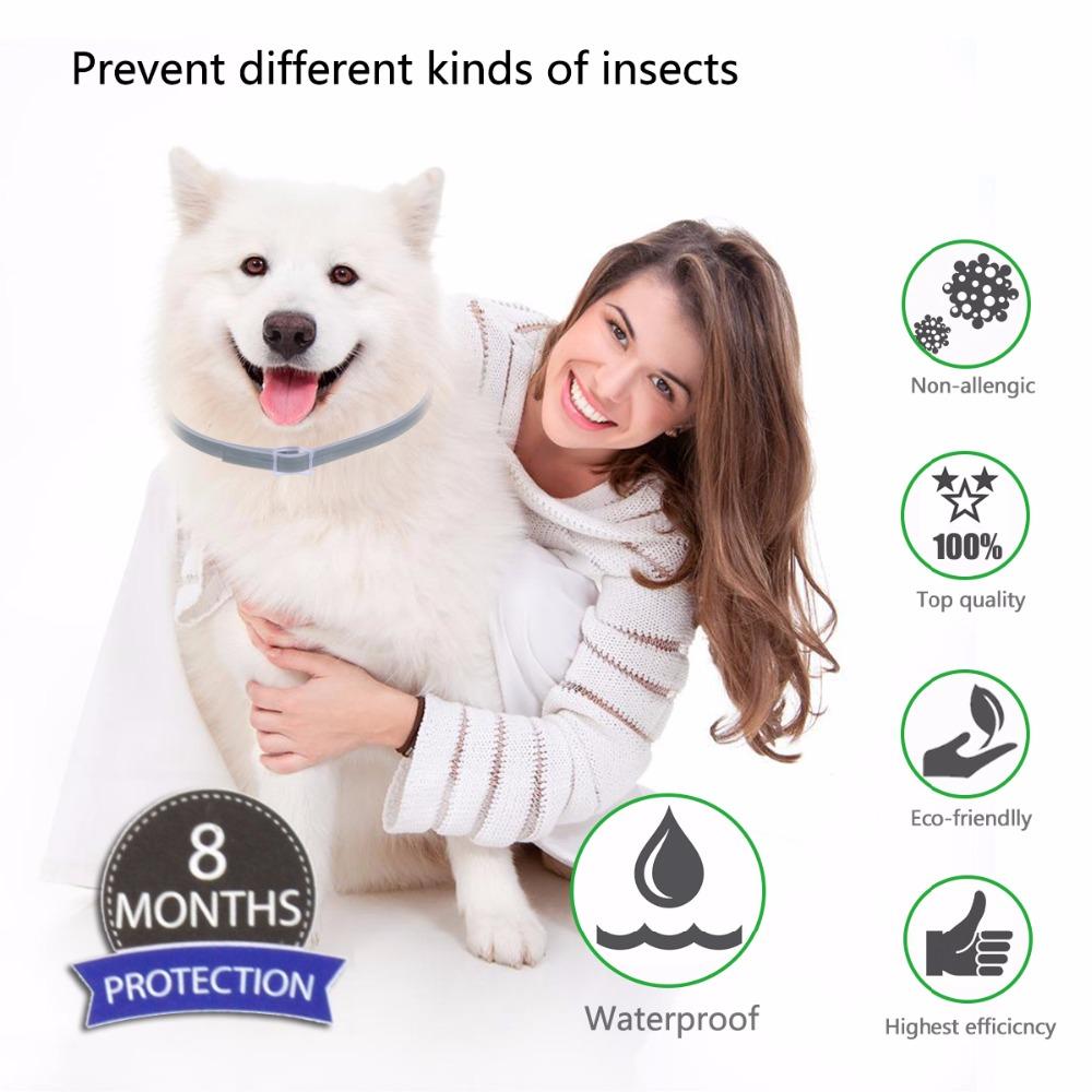 Protect your pet effectively with this Adjustable Flea and Tick Collar, designed for both cats and dogs. Its customizable fit ensures comfort while providing continuous, reliable protection against fleas and ticks. 