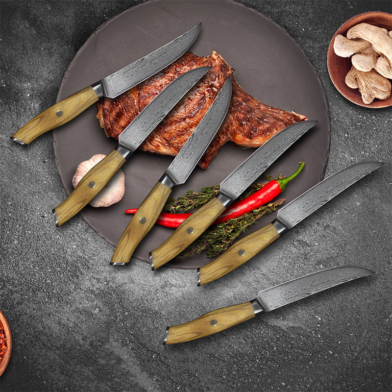 67 Layers Damascus Steel Japanese VG10 Blade Steak Knife