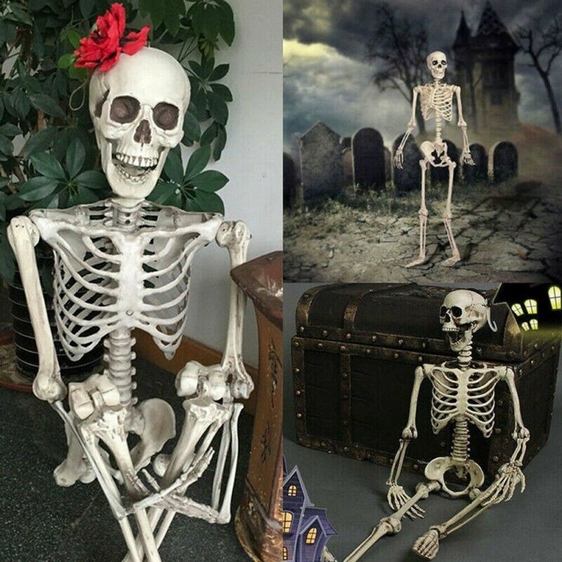 Poseable Full Life Size  Skeleton Halloween Décor