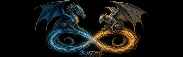 Two dragons entwined with blue and orange flames on a black background, featuring the brand 'Dragolye'.