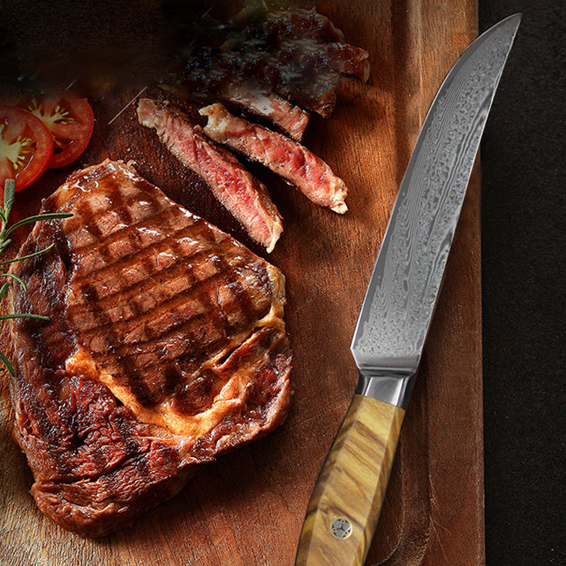 67 Layers Damascus Steel Japanese VG10 Blade Steak Knife