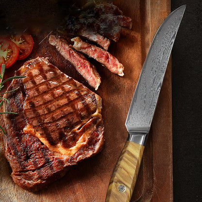 67 Layers Damascus Steel Japanese VG10 Blade Steak Knife