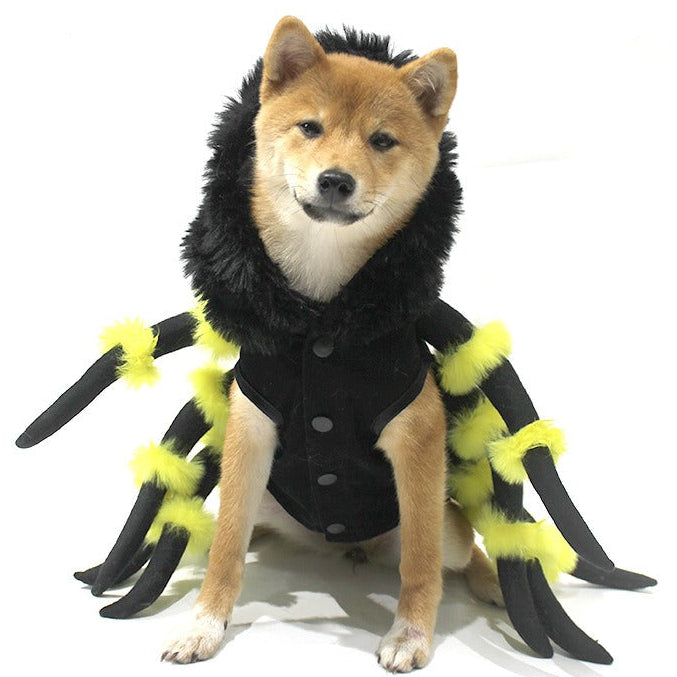 Spider Cosplay Halloween Funny Dog or Cat Costume