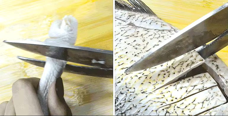 Heavy Duty Multi-Function Stainless Steel Chef Scissors