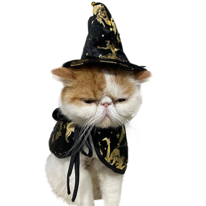 Witch or Wizard Cloak and Hat Costume for Small Pets
