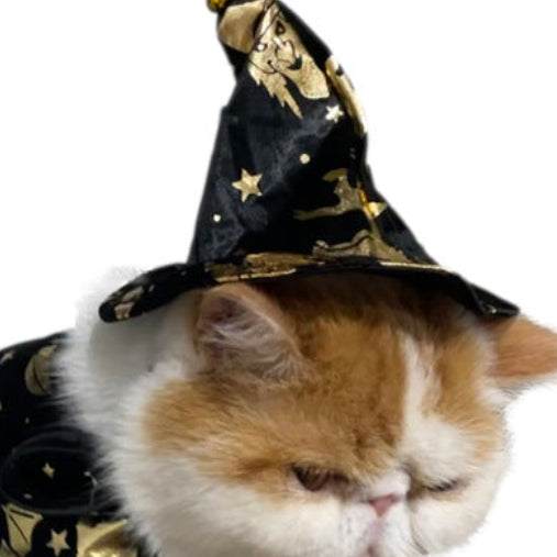 Witch or Wizard Cloak and Hat Costume for Small Pets
