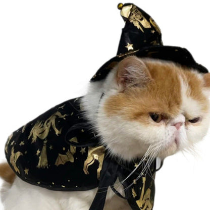 Witch or Wizard Cloak and Hat Costume for Small Pets
