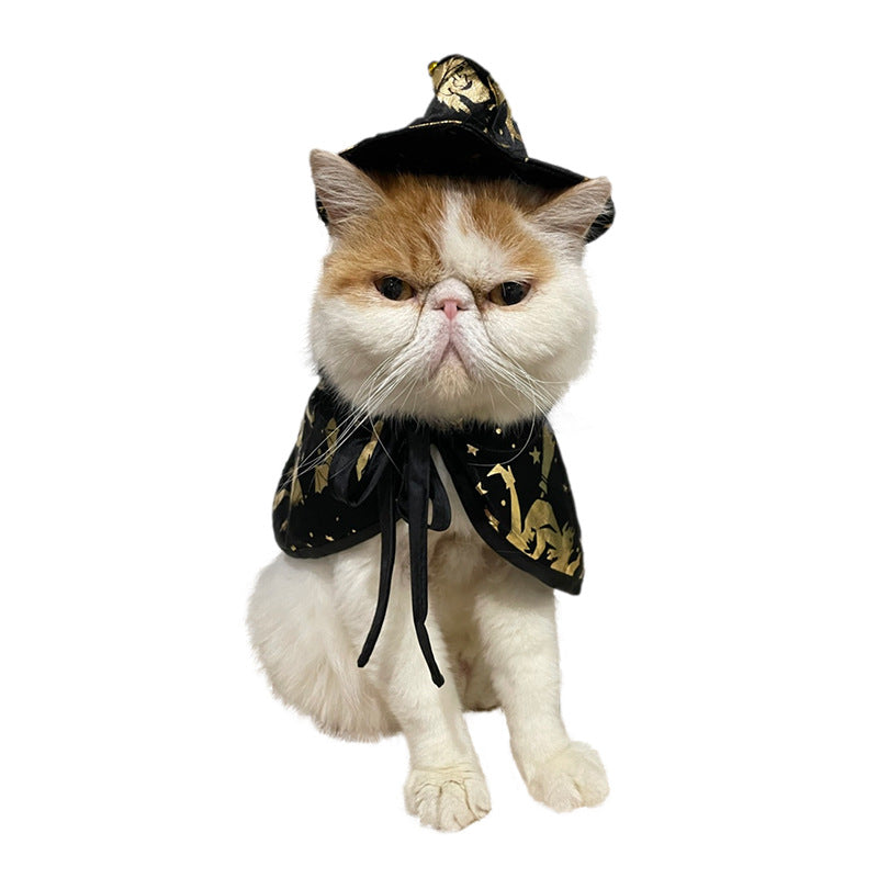 Witch or Wizard Cloak and Hat Costume for Small Pets
