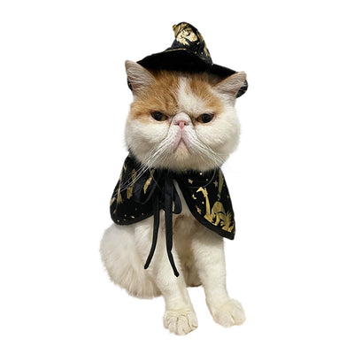 Witch or Wizard Cloak and Hat Costume for Small Pets
