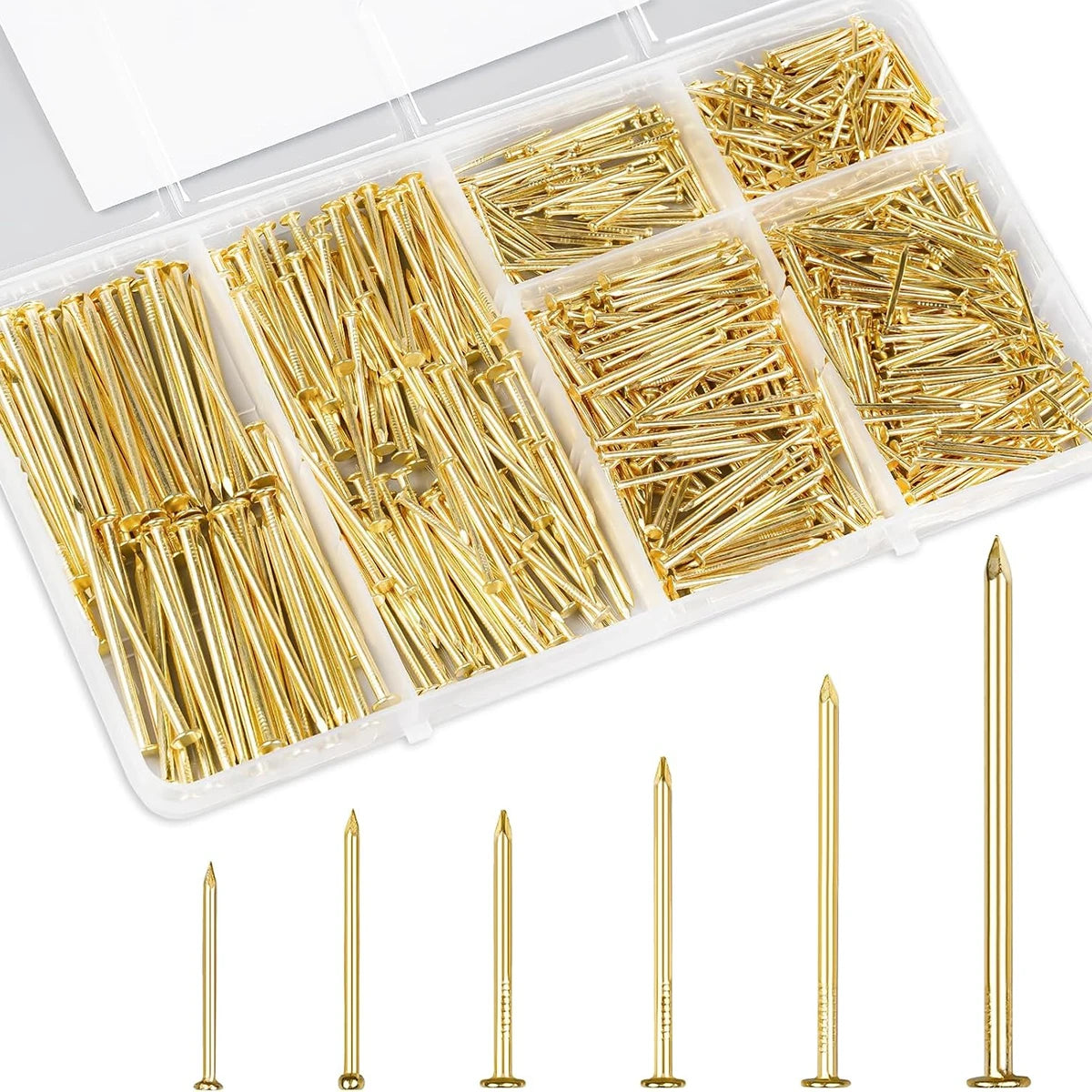 Gold-colored metal nails organized in a clear plastic compartment box, with five different nail lengths displayed below on a white background.