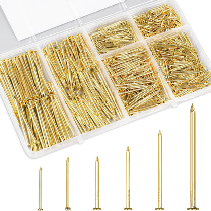 Gold-colored metal nails organized in a clear plastic compartment box, with five different nail lengths displayed below on a white background.