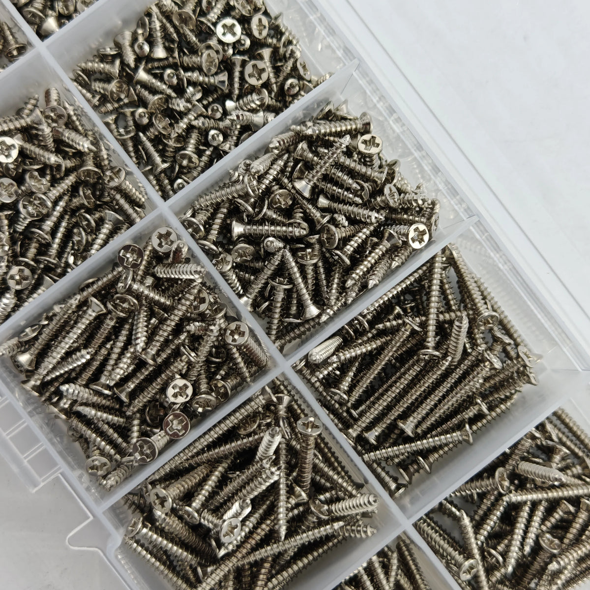 Assorted screws in a clear plastic organizer on a white background