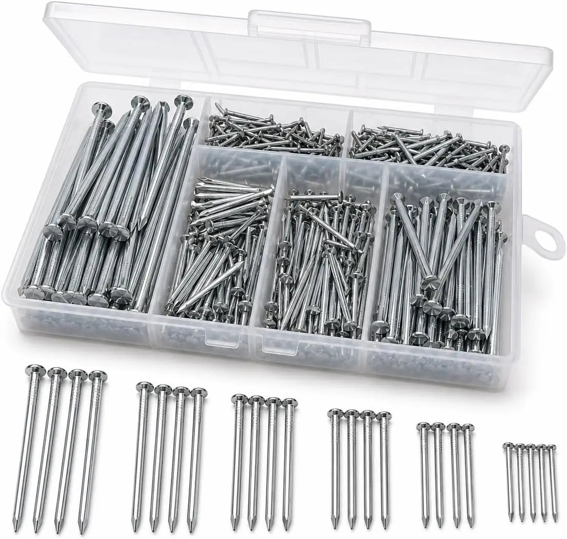 A clear plastic organizer box filled with silver metal nails in different sizes, shown on a white background with several rows of loose nails aligned below.