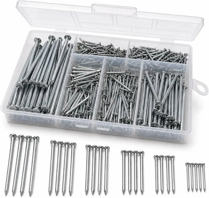 A clear plastic organizer box filled with silver metal nails in different sizes, shown on a white background with several rows of loose nails aligned below.