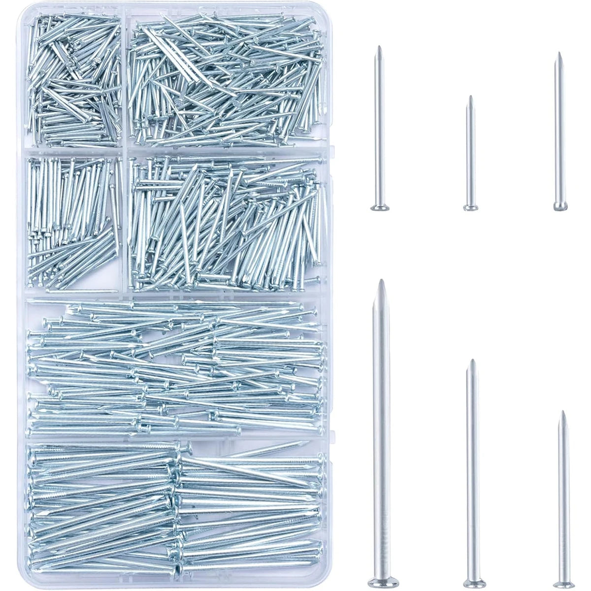 A clear plastic compartment box filled with silver metal nails, shown alongside several individual nails of different sizes on a plain white background.