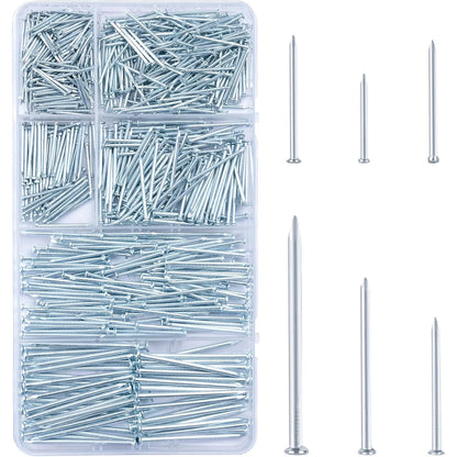 A clear plastic compartment box filled with silver metal nails, shown alongside several individual nails of different sizes on a plain white background.