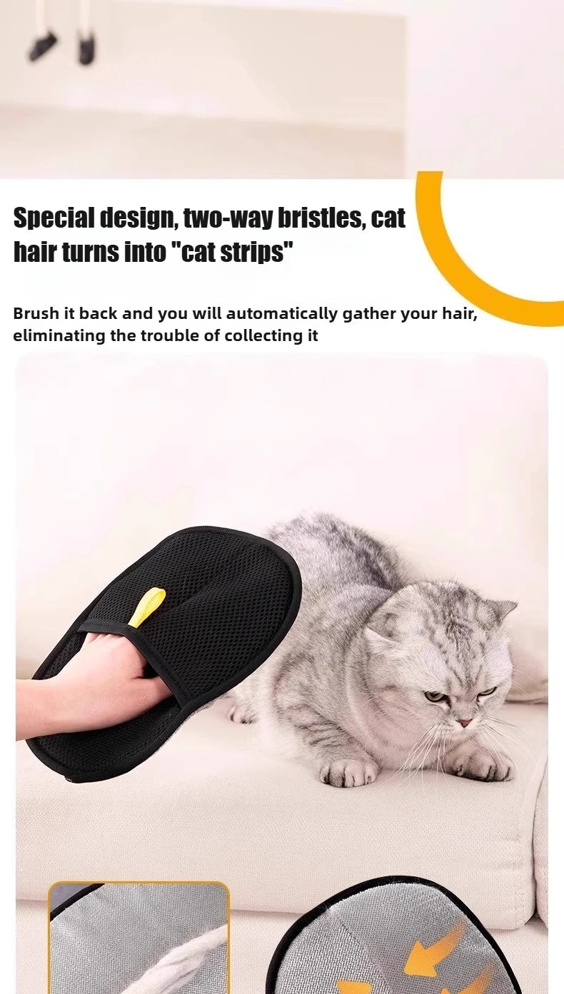 Cat grooming brush with a cat using it on a couch