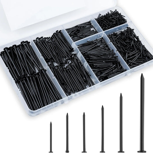 Set of black nails in a clear plastic organizer on a white background