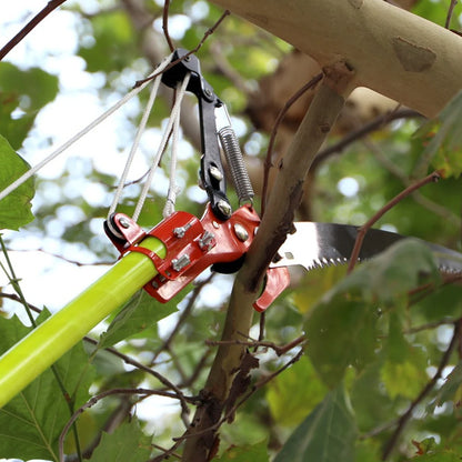 Elevate your tree trimming game with our High-Altitude Extension Tree Branch Trimming Saw! This versatile tool allows you to easily reach high branches for precise cuts, promoting a healthier and more aesthetically pleasing tree growth. Say goodbye to dangerous ladders and hello to a more efficient and safe trimming experience.