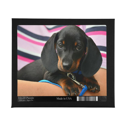 Dachshund Puppy Puzzle