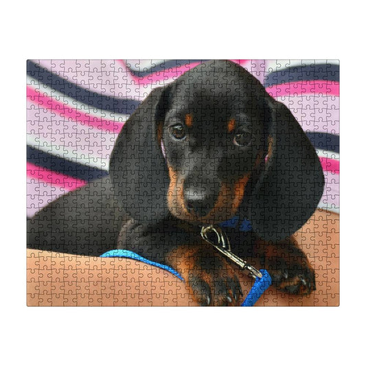 Dachshund Puppy Puzzle