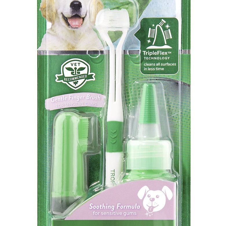 Oral care is about more than making your pets smiles sparkle ,it's an important component of their overall health. In fact, 80% of dogs begin to show signs of oral disease by age 3.