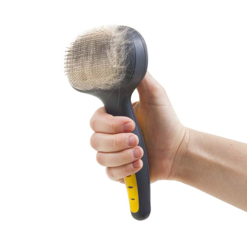 JW Dog Self Cleaning Grooming Brush