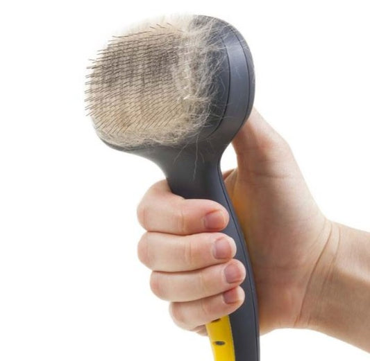 JW Dog Self Cleaning Grooming Brush