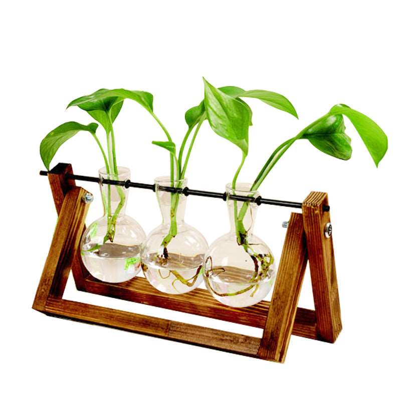 Hydroponics is the cultivation of plants without using soil. Hydroponic flowers, herbs and vegetables are planted in inert growing media and supplied with nutrient-rich solutions, oxygen and water. This system fosters rapid growth, stronger yields and superior quality.