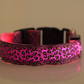 Light up your pup's wardrobe with the LED Safety Leopard Dog Collar! Featuring a sleek leopard-print design with LED lighting to keep your pup safe at night - so they can walk their wild side while staying seen. Let your furry friend light up the night in style!