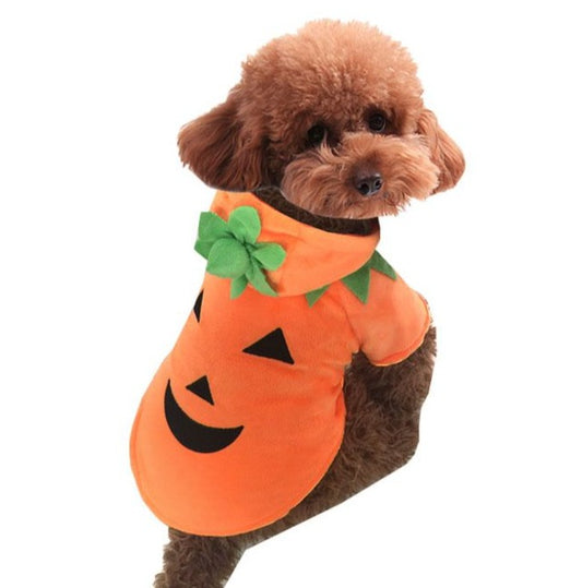 This Pet Pumpkin Halloween Costume is sure to be a trick-or-treat hit! Get your pup ready for the spookiest night of the year with a comfy and cute costume to make all your friends ooh and aah!  Your pup will be ready to party, trick-or-treat, and have lots of Halloween fun in this cozy and adorable costume! Get ready for the compliments to roll in!
