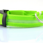 This Safety LED Dog Collar provides 360 degrees of visibility, so you can keep your pup safe when out for their nightly walks. It features bright LED lights that offer peace of mind and let everyone know that your beloved pup is nearby. 