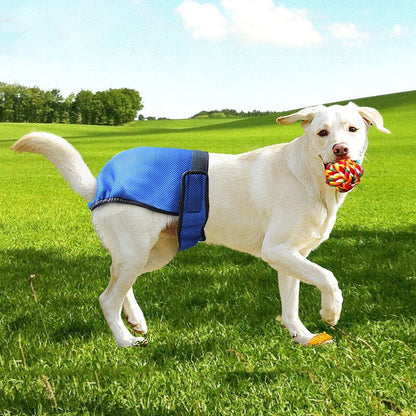 Forget the caterwauling and chaos of dog walking! With our Dog Safety Pants, your pup will be secure and stylish, giving you peace of mind! These snug security wraps feature a unique design, so your pup will look and feel as safe as houses. 