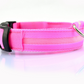 This Safety LED Dog Collar provides 360 degrees of visibility, so you can keep your pup safe when out for their nightly walks. It features bright LED lights that offer peace of mind and let everyone know that your beloved pup is nearby. 