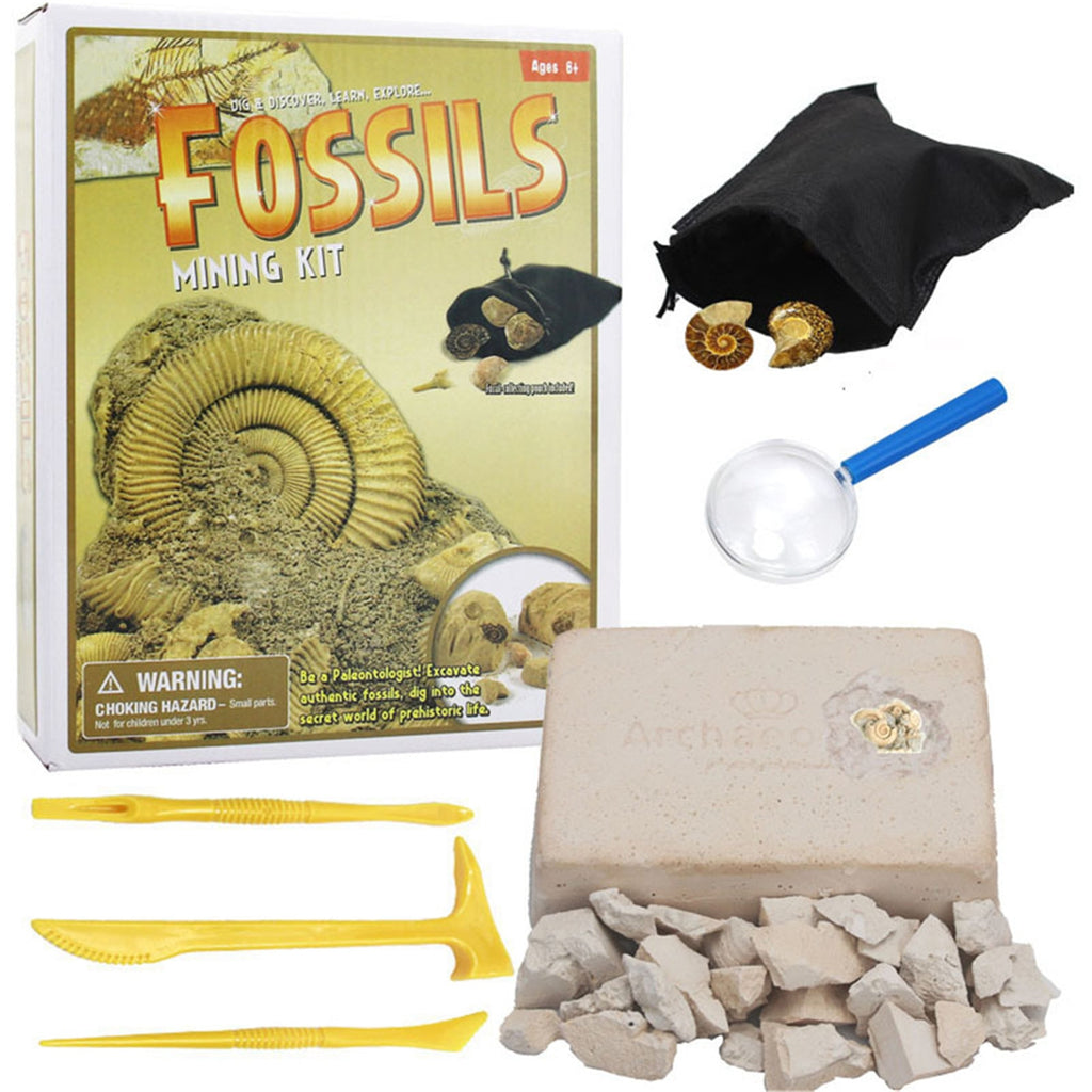 These awesome DIY Archaeology treasure mining kits are a fun and exciting gift for kids and interested adults.  Everyone loved discovering cool things like crystals, semi-precious stones, minerals, fools gold, fossils and pearls. A Most Excellent way to educate kids and family on exploring a life in Archaeology or to just have some good fun!  Estimated Shipping Time is 10 to 20 days.