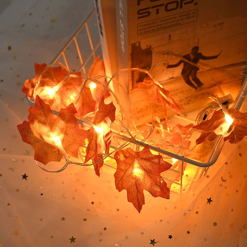 The perfect set of lights for your Autumn or Thanksgiving decorations. You're party will be lively with adorable maple leave string lights. Some enjoy these lights year round. These autumn string lights provide a nice ambiance for special occasions.