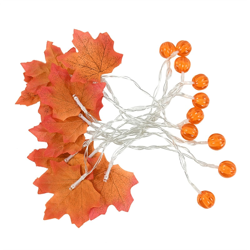 The perfect set of lights for your Autumn or Thanksgiving decorations. You're party will be lively with adorable maple leave string lights. Some enjoy these lights year round. These autumn string lights provide a nice ambiance for special occasions.